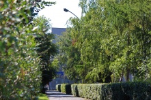 ОмГПУ вошел в мировой рейтинг университетов Round University Ranking