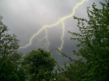 В Омской области жара сменится дождями и сильным ветром