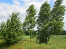 День ветра отмечается во многих странах мира 