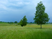 Синоптики назвали дату возвращения жары в регион