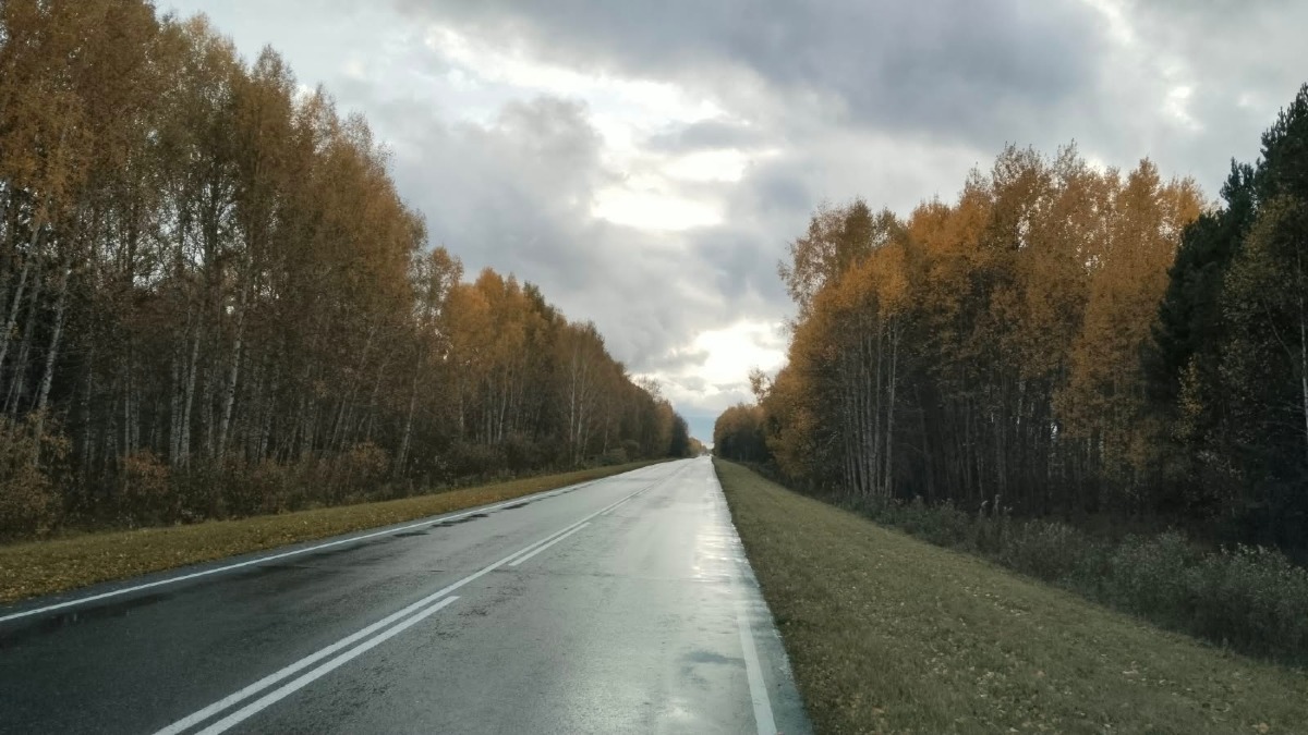 Омскую область накроют дожди и туманы
