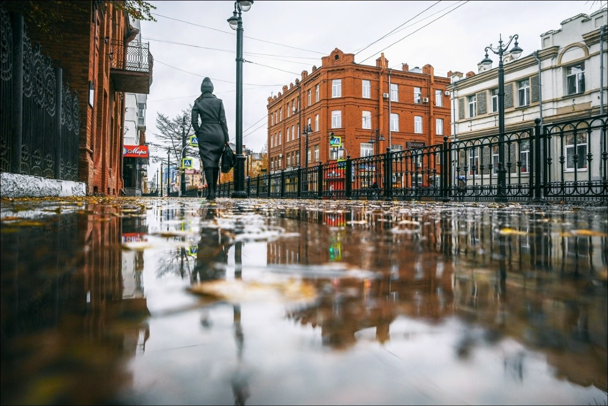 Снег и холод: какой будет осень 2026 года по прогнозам синоптиков