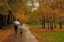 В Омской области пройдёт пыльная буря и похолодает