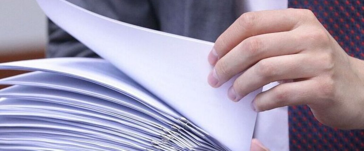 В России для домашних животных предложили ввести обязательную маркировку и регистрацию