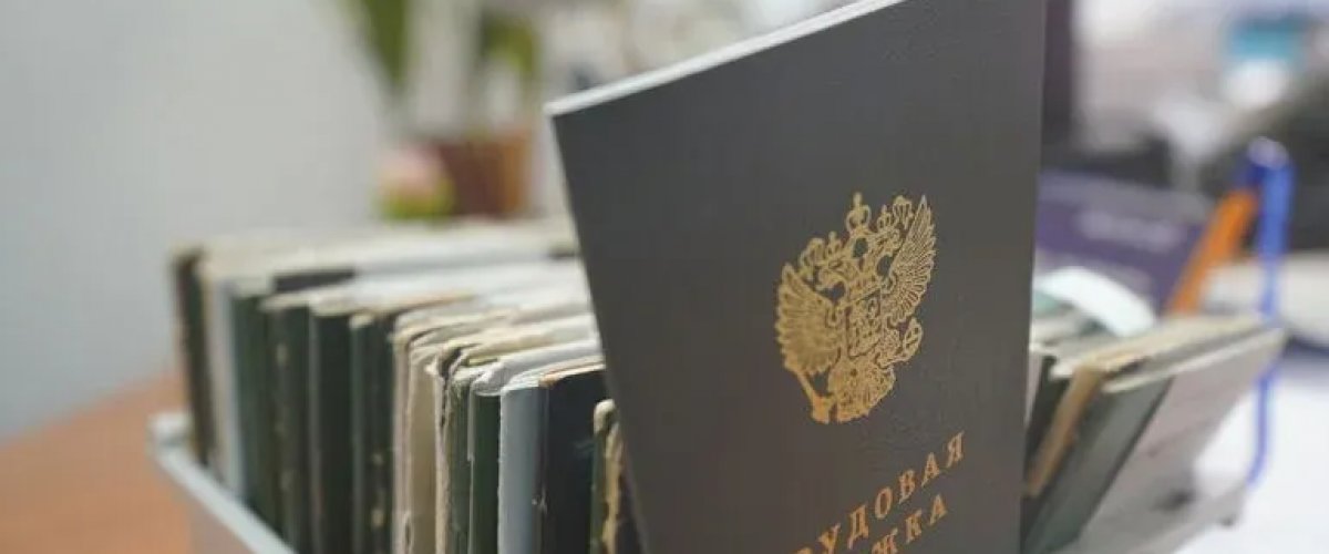 Омских работодателей обяжут трудоустроить 3,5 тысячи ветеранов СВО