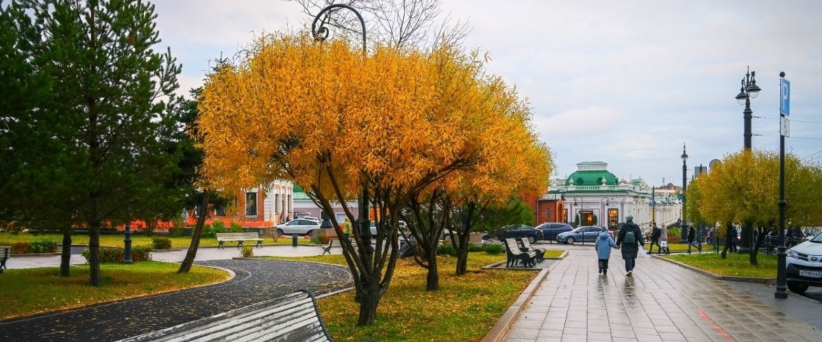 В Омской области ожидаются первые заморозки