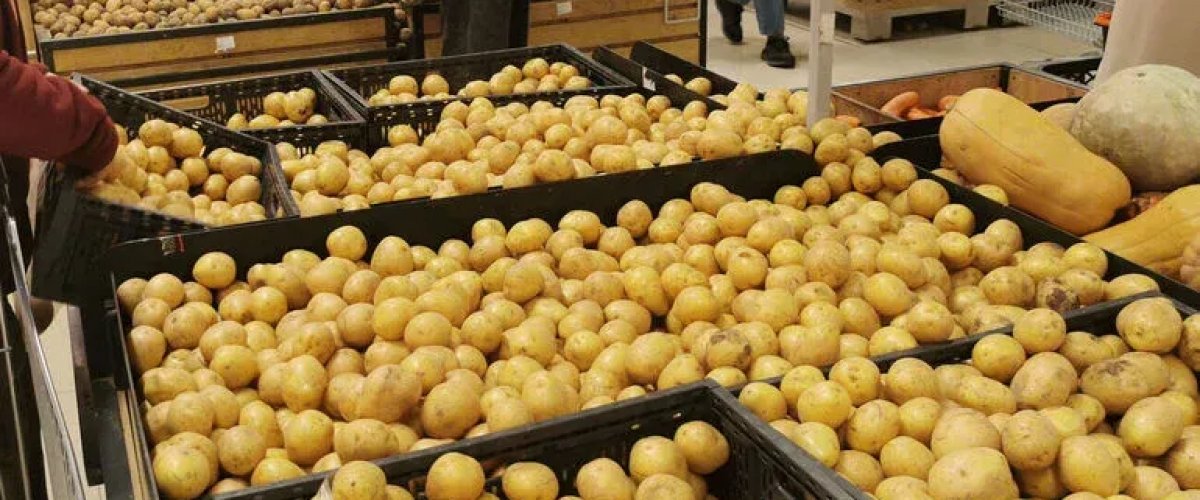 В Омской области упали цены на картофель и морковь 