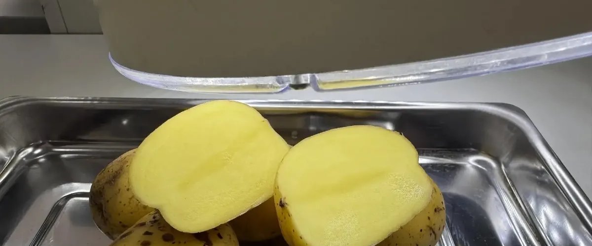 Омский картофель пошёл на экспорт