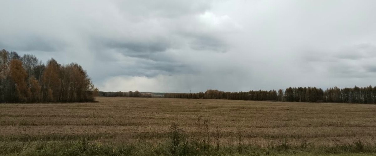 В Омске и области потеплеет до +14 градусов