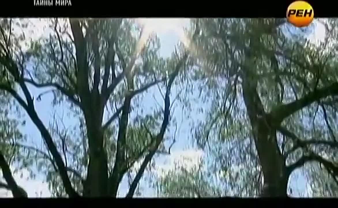 Рен ТВ об Окунево.