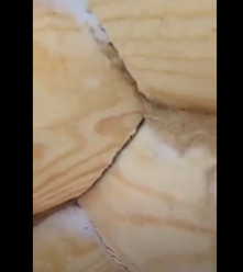 Строительство храма в ашраме Омкар Шива Дхам