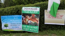 Экологи наехали на мэрию