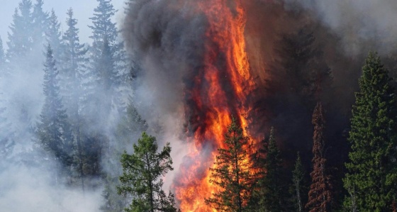 Регион снова может столкнуться с лесными пожарами