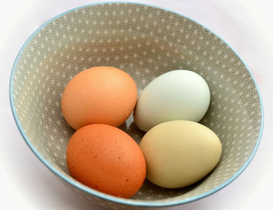 В Омской области стали дешеветь яйца