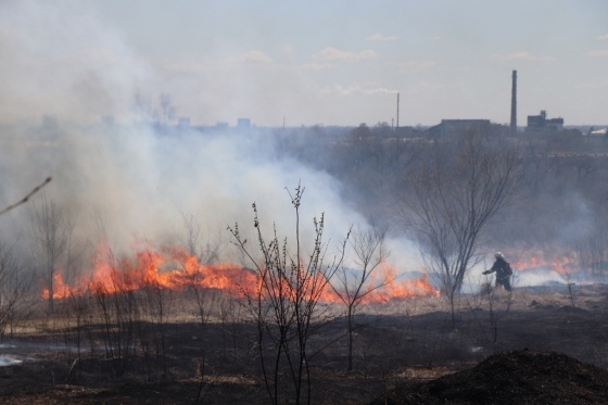 Огонь атаковал леса и поля региона