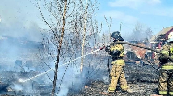 Всем миром. Российский Красный Крест объявил о сборе помощи для пострадавших при пожарах омичей