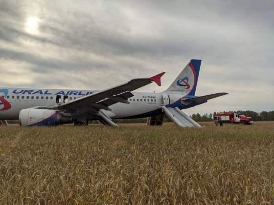 Летевший из Сочи в Омск самолет экстренно сел в поле под Новосибирском