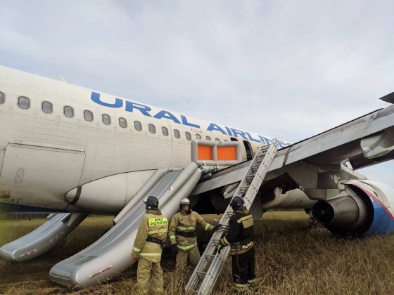 В Омске появилась горячая линия для родственников пассажиров аварийно приземлившегося самолета