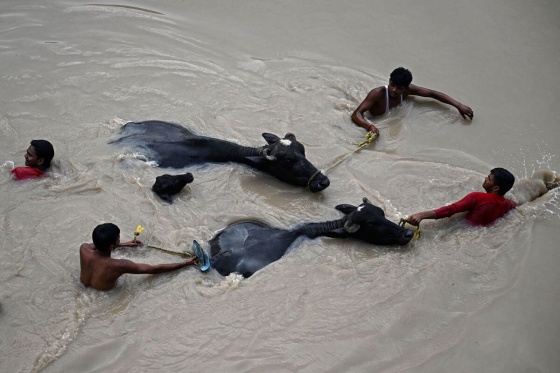 В Нью-Дели из-за резкого подъема воды в реке затоплены несколько районов