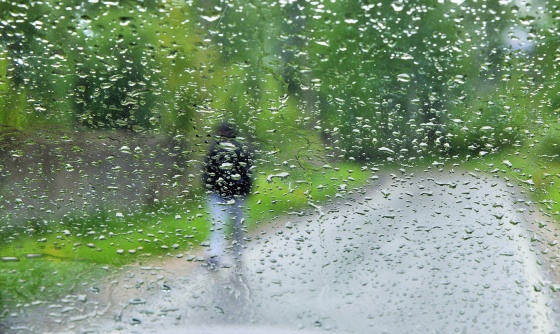 Дожди в Омске задержатся надолго