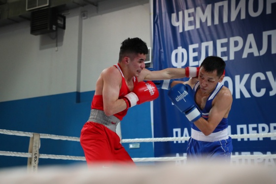 В Омске прошел чемпионат Сибири по боксу памяти Александра Малунцева