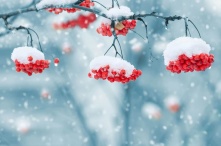 В Омске календарная зима завершится оттепелью и мокрым снегом