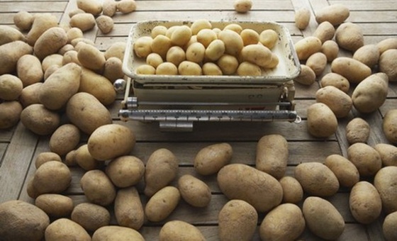Омичам пообещали дефицит картофеля в этом году
