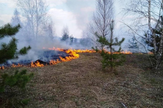 Спасатели прогнозируют пожары на юге области