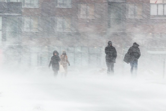 На трассах Омской области из-за снежной бури остановлено автомобильное движение
