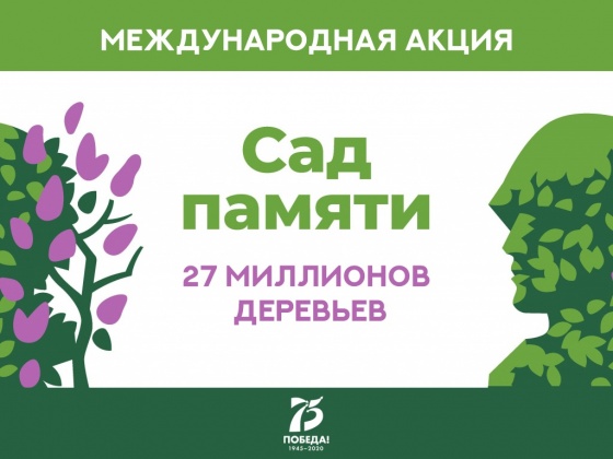 Участники акции «Сад памяти» высадили 27 млн деревьев