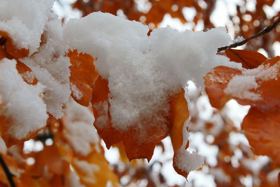 В Омске пройдут снегопады с замерзающим дождем