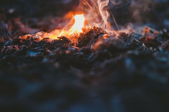 В Омской области с начала года произошло уже почти 300 пожаров 