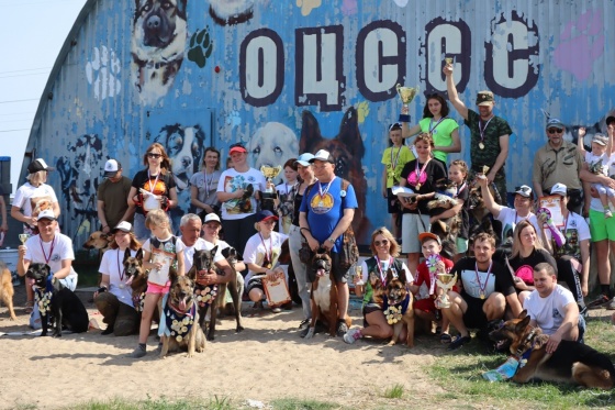 В Омске прошли соревнования по спортивно-прикладному собаководству