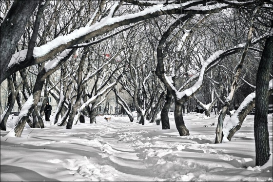 В Омской области после резкого потепления похолодает до -28 градусов
