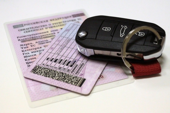 В России срок действия водительских прав продлили на 3 года