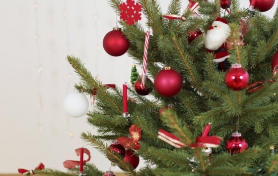 Россиянам объяснили опасность долгого хранения новогодней елки дома
