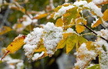 В Омской области на следующей неделе пройдет первый снегопад