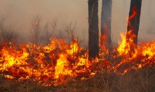 В Называевском районе из-за пожаров ввели режим повышенной готовности