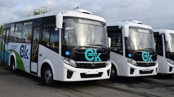 Омичей после «Крымской весны» развезут бесплатные автобусы