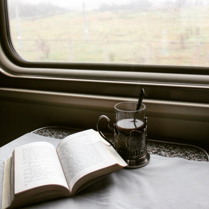 книга в поезде.jpg